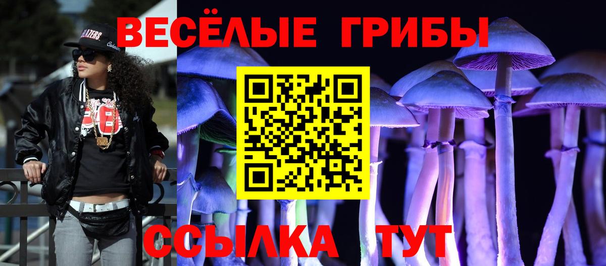 Родники  Галлюциногенные грибы Magic Shrooms  Галлюциногенные грибы GOLDEN TEACHER  Вход с VPN 